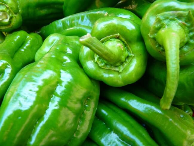 green-bell-pepper