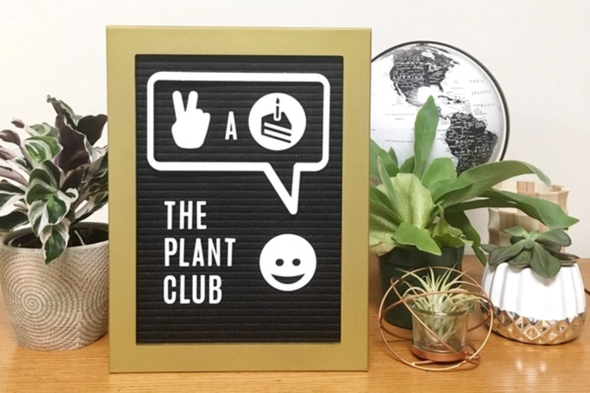the-plant-club